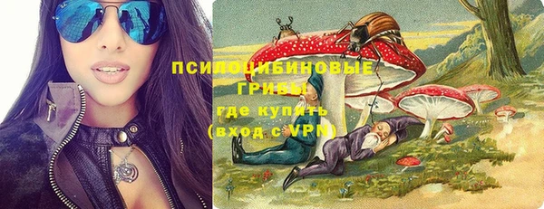 дмт Алзамай