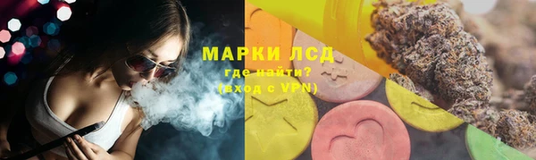 дмт Алзамай