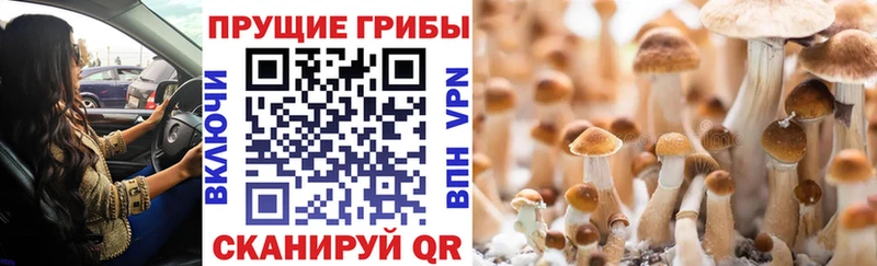 Галлюциногенные грибы мухоморы Ветлуга